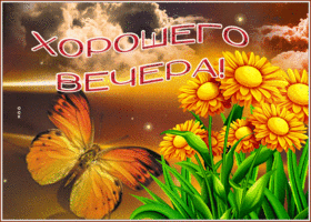 Postcard красивая открытка с бабочкой хорошего вечера!