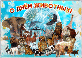 Открытка красивая открытка с днем животных