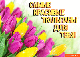 Открытка красивая открытка с тюльпанами