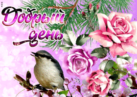Картинка красочная открытка с птицей, добрый день