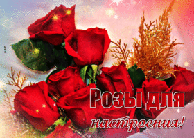 Postcard красочная открытка розы для настроения!