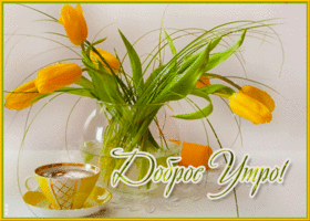 Postcard крутая открытка с желтыми тюльпанами доброе утро!