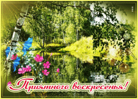 Postcard летняя открытка приятного воскресенья! природа