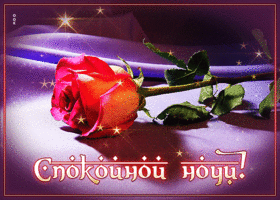 Picture магическая и волшебная открытка с розой спокойной ночи