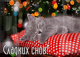 Postcard мерцающая открытка сладких снов! с очаровательным котенком