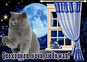 Postcard милая картинка с котом спокойной ночи, любимая!