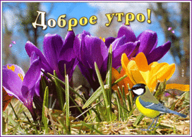 Открытка милая открытка доброе утро с птичкой и цветами