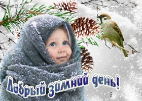 Открытка милая открытка добрый зимний день