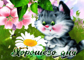 Открытка милая открытка хорошего дня с котиком