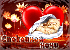 Postcard милая открытка с котенком и сердцем спокойной ночи