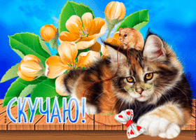 Picture милая открытка с котиком и мышонком скучаю