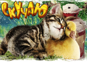 Picture милая открытка с котиком и утенком скучаю