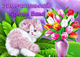 Postcard милая открытка с тюльпанами и котиком замечательной среды вам