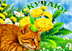 Postcard милая открытка скучаю! с грустным котом