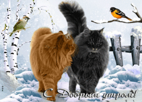 Picture милейшая открытка с котиками с добрым утром