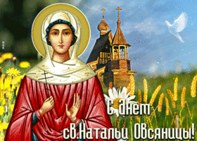 Открытка необычная открытка день святой натальи овсяницы