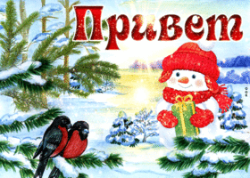 Открытка необычная открытка привет со снеговиком