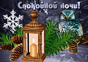 Картинка необычная открытка спокойной ночи с совой