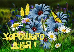 Picture необычная открытка с цветочками хорошего дня!