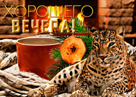 Picture необычная открытка с леопардом хорошего вечера