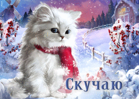 Picture неповторимая открытка с белым котиком скучаю