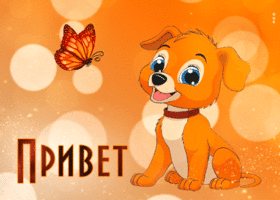Picture неповторимая открытка с собачкой и бабочкой привет!