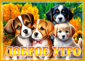 Picture невероятная и удивительная открытка с щенками доброе утро