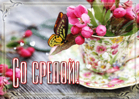 Picture нежная открытка с бабочкой со средой
