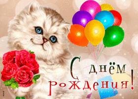 Picture нежная открытка с днем рождения! с кошкой и подарками