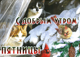 Postcard нежная открытка с котиками с добрым утром пятницы!