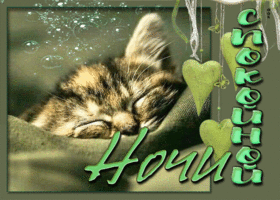 Picture нежная открытка с котиком спокойной ночи!