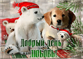Postcard нежная открытка с медвежонком и собачкой добрый день - любовь
