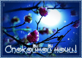 Postcard нежная открытка спокойной ночи! с цветущим деревом