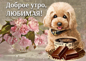 Picture очаровательная открытка доброе утро, любимая! с собачкой