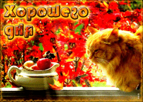 Picture очаровательная открытка с рыжим котом хорошего дня