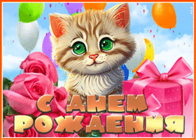 Picture оригинальная и яркая гиф-открытка с котиком с днем рождения