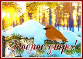 Открытка оригинальная открытка доброе утро с птичкой