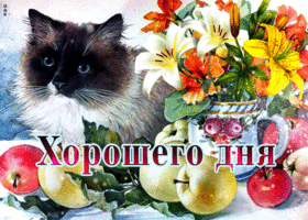 Открытка оригинальная открытка хорошего дня с цветами и с котом