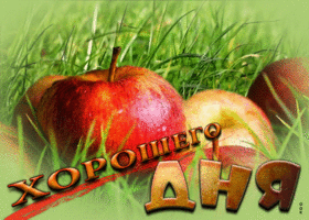 Picture оригинальная открытка с яблочками хорошего дня