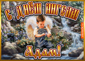 Открытка открытка день ангела адам