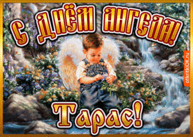 Картинка открытка день ангела тарас