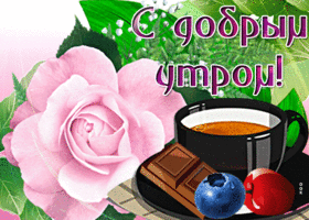 Открытка открытка доброе утро с чайной розой