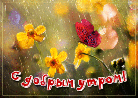Картинка открытка доброе утро с дождем