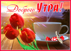 Картинка открытка доброе утро с красными тюльпанами