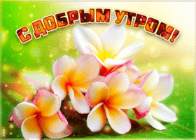 Картинка открытка доброе утро с необычными цветами
