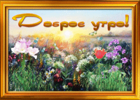 Картинка открытка доброе утро с полевыми цветами