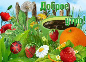 Открытка открытка доброе утро с растениями