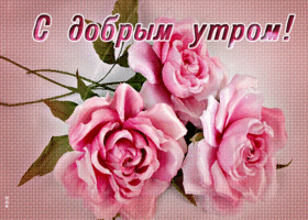 Картинка открытка доброе утро с розовыми розами