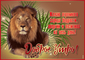 Картинка открытка доброе утро со львом