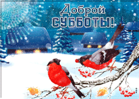Картинка открытка доброй зимней субботы